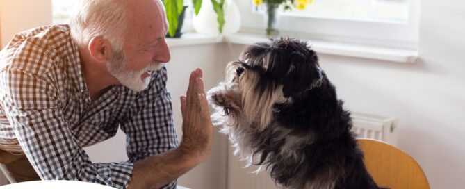 A senior man “high-fives” his pet dog, showing the type of close relationship professional caregivers should be aware of when caring for clients.